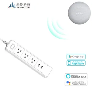 anncoe支持定制 亚马逊热销wifi智能插座 支持alexa语音智能家居插座C198排插美规