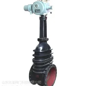 供应山东北泽Z941T-10球墨铸铁电动闸阀