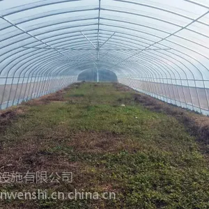 沈阳30*60镀带椭圆管种植大棚骨架