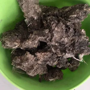 厂家低价销售干鸡粪 优质纯鸡粪块 用肥旺季 大量现货 欢迎来电