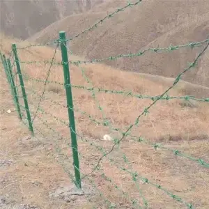 ��ƽ˫�ɴ��� ���ʶ�п�������� ��������ȫ����