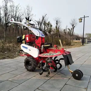 �Ƽ�־��ũ�ò���9����������������԰��������лƽ���ֲ������