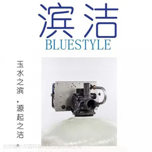 滨洁全自动软水器,锅炉软化水设备,快洗流量大,氯根不超标-专业厂家