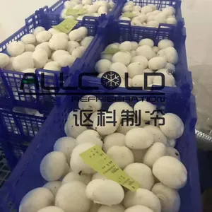 广东菜心专用果蔬真空预冷机/快速降温打冷延长保鲜期订购热线8618928220791