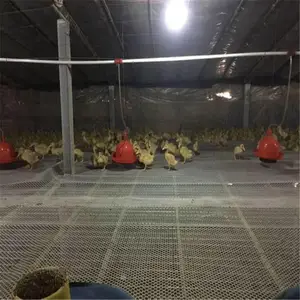 ����ƽ�� ����ϩ��ֳ�� ������������