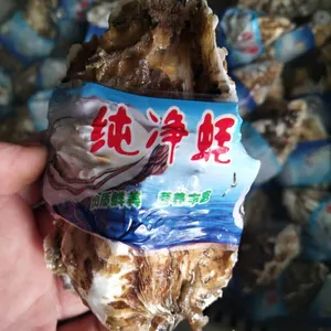 �人����������� �ʻ�������Ǯһ��