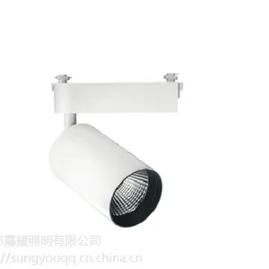 ŷ˾�ʹ���LED����� 25W TRACK LIGHTϵ�� 4000Ků�׹�