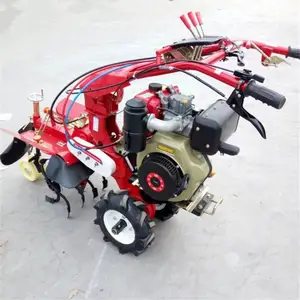 �����������ͺ� ����������۸� ������