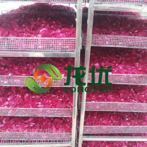 龙优玫瑰花烘干机设备 平流玫瑰花烘干机