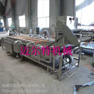 迈尔特厂家供应批发山野菜清洗机