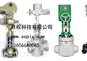 昇权SURPASS执行器2SB6021-2ADO