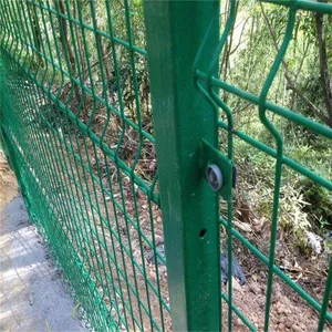 ���׹�������Χ�� ũ���ֻ����� �����߽�����ǽ