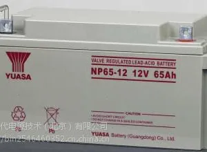 汤浅蓄电池12V65AH 广东汤浅蓄电池官网 销售电话;13167327252