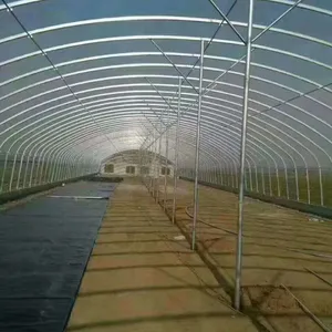 河北种植大棚大棚骨架生产厂家镀锌钢