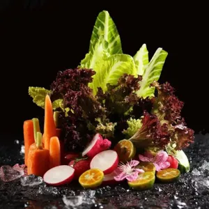 陕西菜谱设计制作、美食摄影