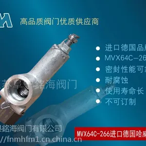 哈威天然气高压安全阀