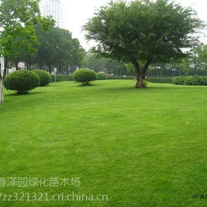 ������ƺ���� ����� ���ڰ�ϲ�� ������ ����é Ұţ�� �ͺ��ͺ��ͼ�̤�Ļ��¸߶���ר�õر�����