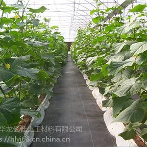 pp果园防草布农用除草布厂家批发