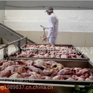 山东汉欧鲜肉猫粮生产厂家,猫粮加工批发生产基地,猫粮代工OEM生产,高端猫粮定制,个性化定制猫粮
