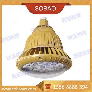 70wled防爆灯 led防爆投光灯70w 70wled防爆防腐灯