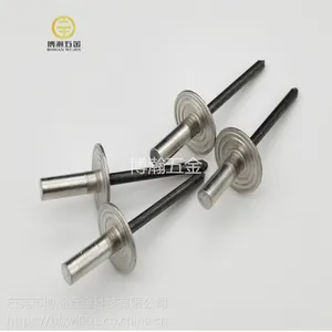 现货供应大帽沿铝抽芯铆钉封闭型防水大帽拉钉