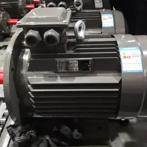 DEDONG�Ϻ��¶���� YE2-90L-2 2.2KW 2�����ÿյ�ѹ�����綯��