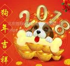 ����������˾�绰-010-87503872