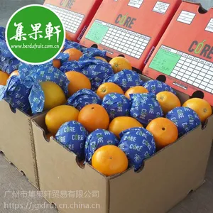 夏季7-10月***30斤装新鲜南非进口水果脐橙货源一级批发
