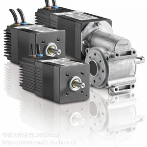 ��������HAGGLUNDSѹ������DS-307/SCH/V2-555-55BA