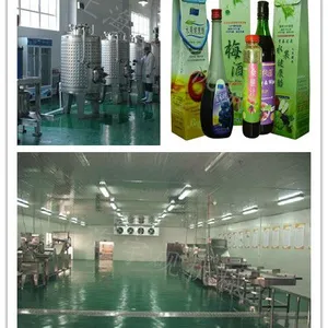 Y-GJC果酒、果醋饮品生产线 果蔬加工厂设备 休闲食品加工等