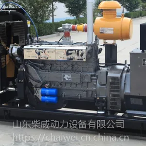 柴威100KW CW-100GFZ沼气发电机组