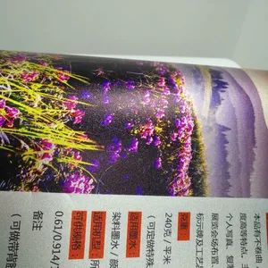 米弟亚砂银胶片 供应优质优惠的砂银胶片