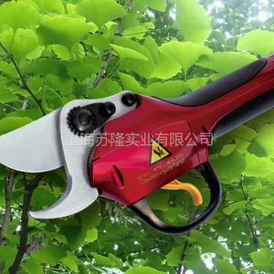 ����918�綯�������綯��֦�����¹����ڻ�о
