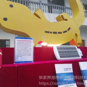 娃娃鱼路灯 特色路灯 特色太阳能路灯 民族特色路灯