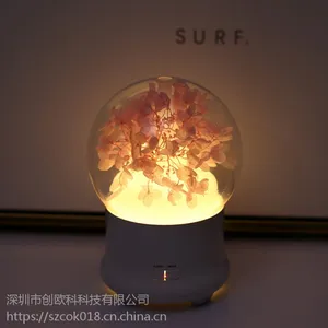 ��ó��Ʒ��������޹�� ��������ʪ��Ʒ�� ���ڳ���רҵ����