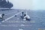 佛山市南海丹灶彩钢瓦锌瓦防水防锈补漏