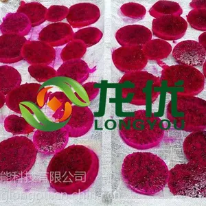 龙优火龙果烘干机厂家 智能平流火龙果烘干机