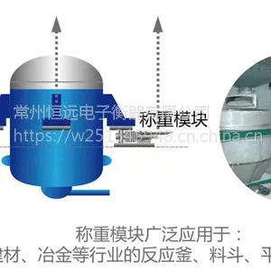 连云港防爆称重模块厂家 现货