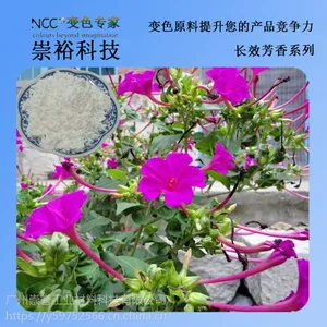 崇裕供应长效香味粉 摩擦起香微香粉 香味种类齐全