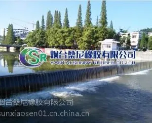 烟台气盾坝工程厂家 钢闸坝设计 安装多少钱