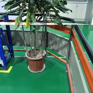 ������ƺ��Ϳ�� ������֬�����͵�ƺ��ԥ�ŵ�ƺ��