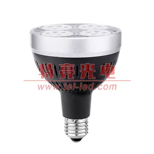 FCC认证PAR30LED射灯 FCC认证LED帕灯 特亮光电帕泡