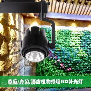 LEDֲ�ﲹ��ƹ��ʽ�����ֲǽ�����XIHV