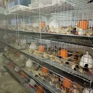 ��������С�����ӡ�����������������������������ʽ���� �ٱ�
