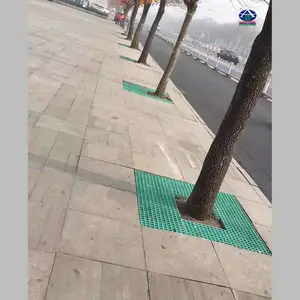 2.5���ֺ�԰�������� ԰���������ظǰ� ģѹ����