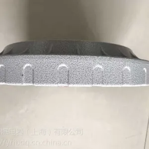 专业BSZ2010防爆石英钟特价