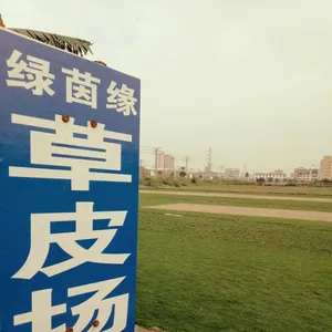 深圳市龙岗区坂田绿茵缘草皮园艺场