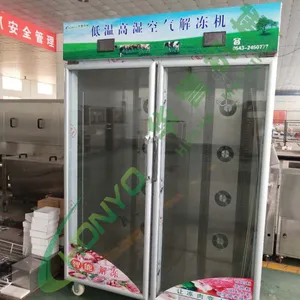 供应HYDWJD型猪肉冻肉低温高湿缓化解冻机