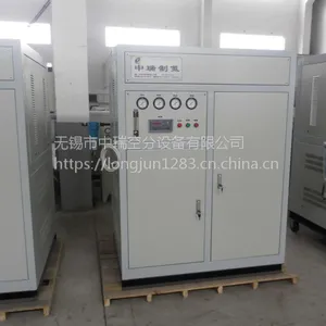 工厂直供食品保鲜氮气设备 小型工业制氮机 ZRN-10-99.***