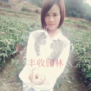 三沙桂七芒果苗批发 嫁接果树优良多品种 南方种植18897887588